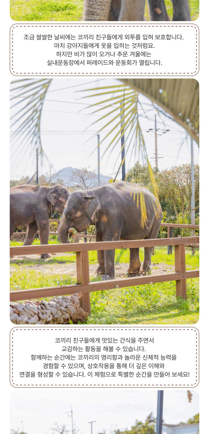 상품 상세 이미지 10