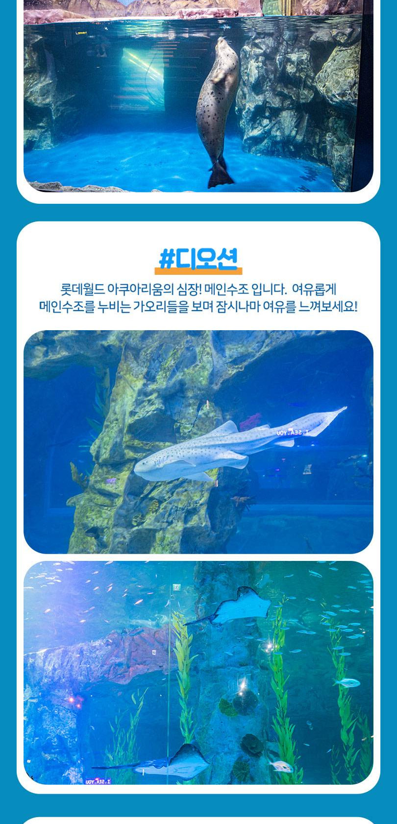 상품 상세 이미지 12
