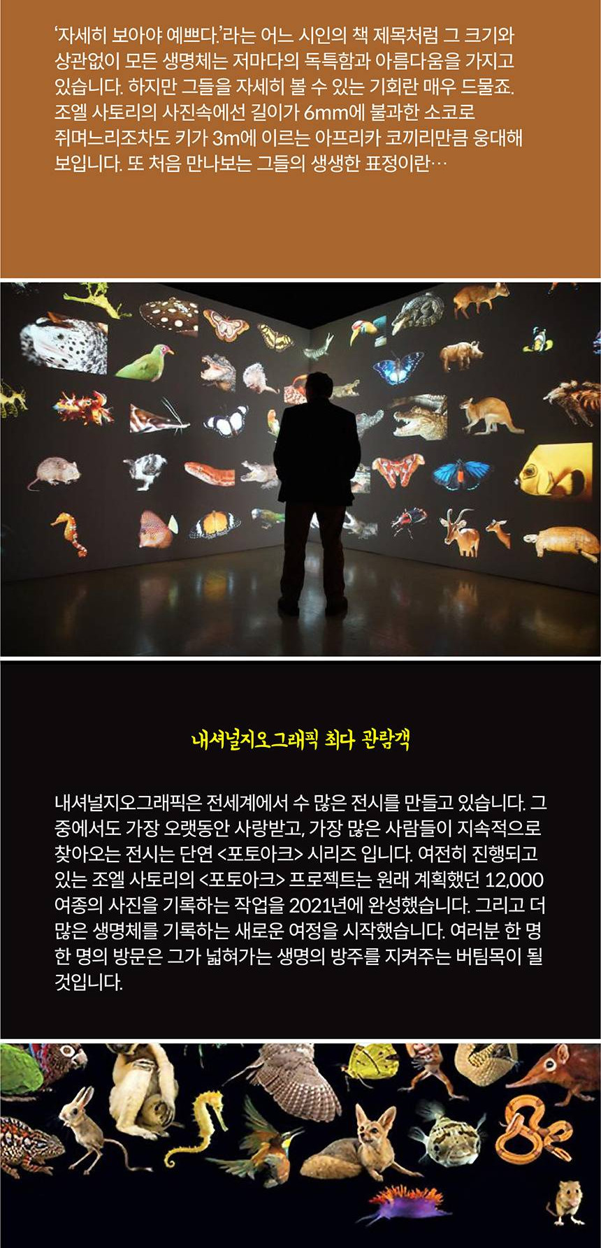 상품 상세 이미지 7