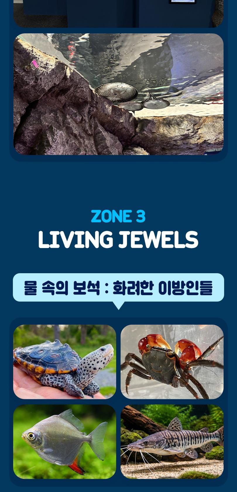 상품 상세 이미지 7