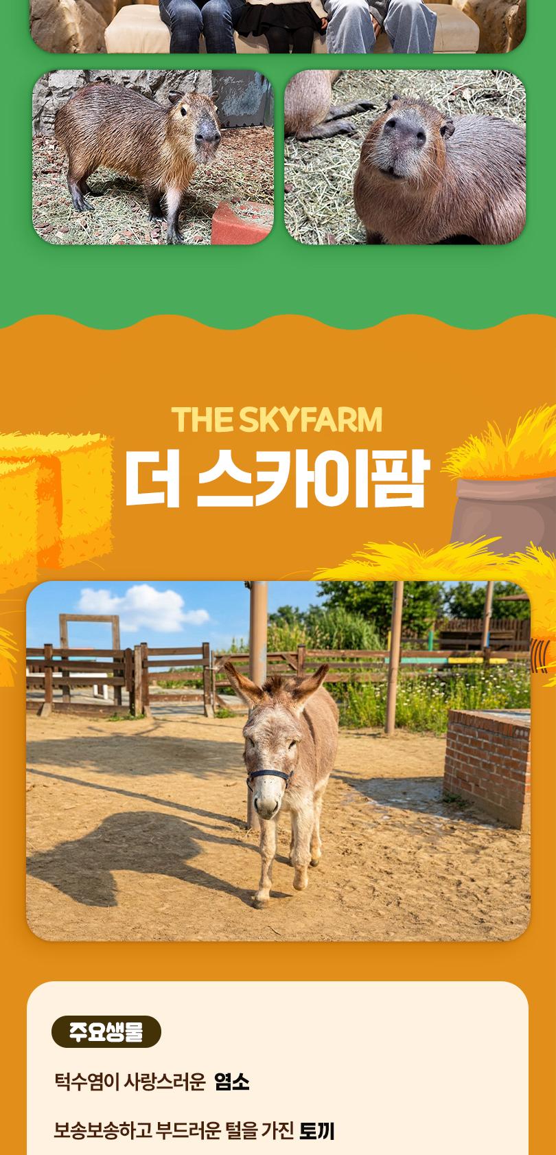 상품 상세 이미지 10