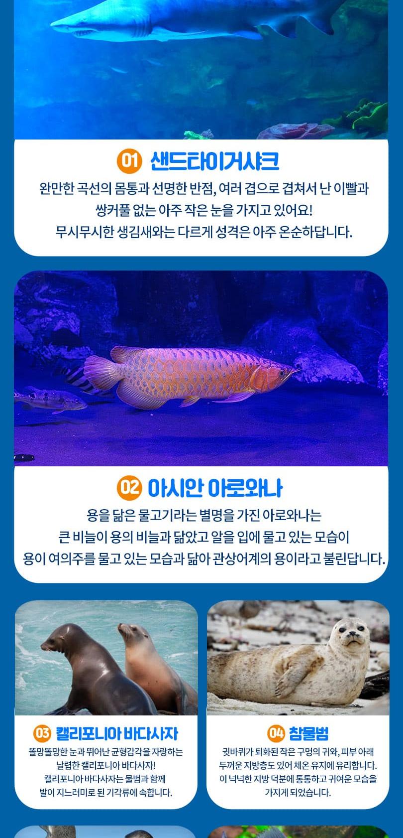 상품 상세 이미지 7