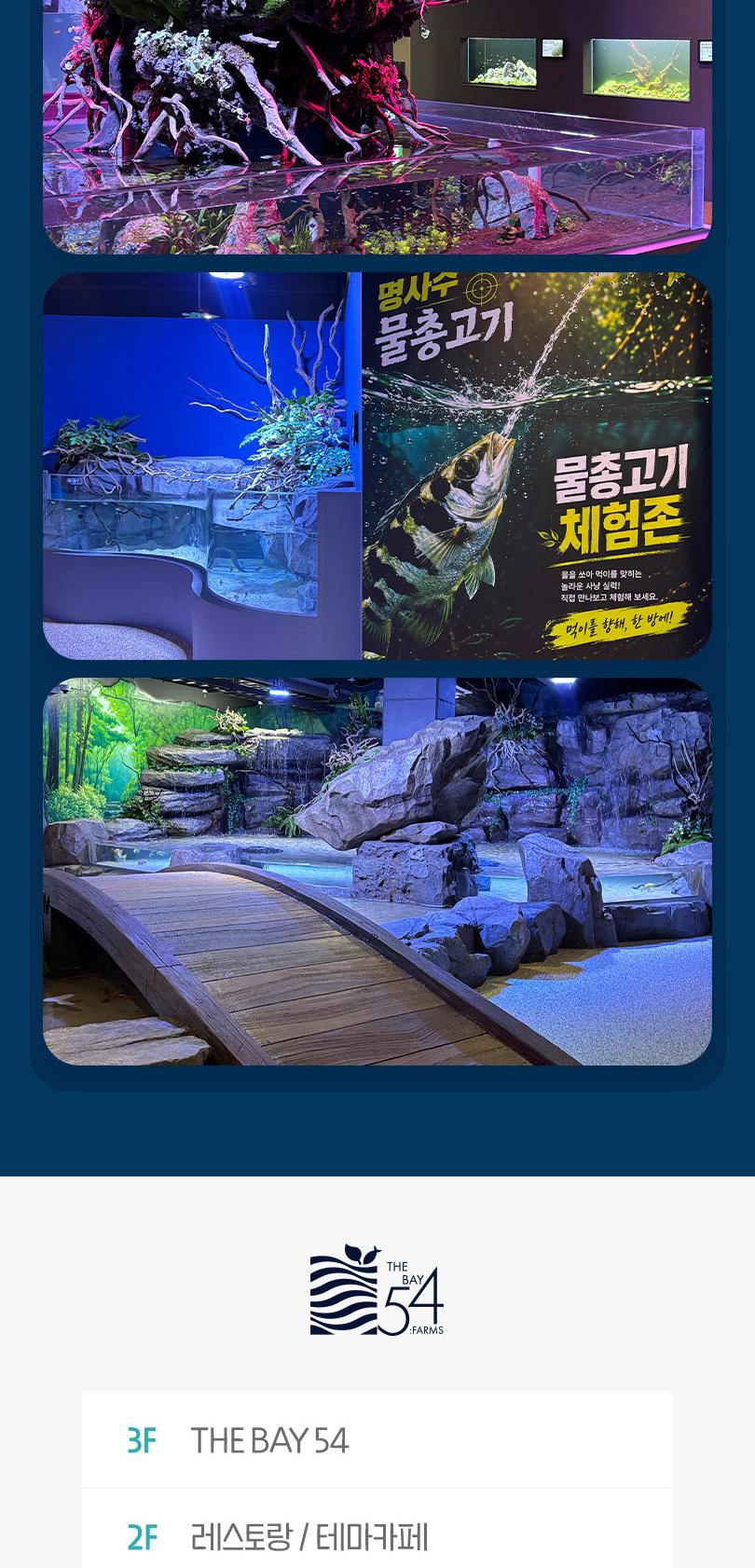 시흥 거북섬 더베이54 아쿠아리움 체험형 관상어 테마파크