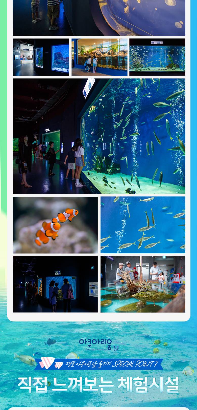 상품 상세 이미지 6