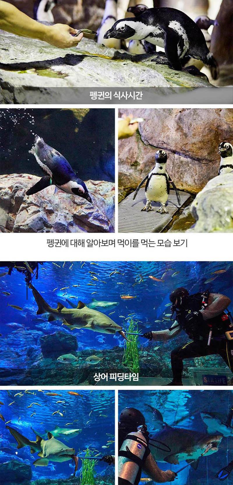 상품 상세 이미지 14