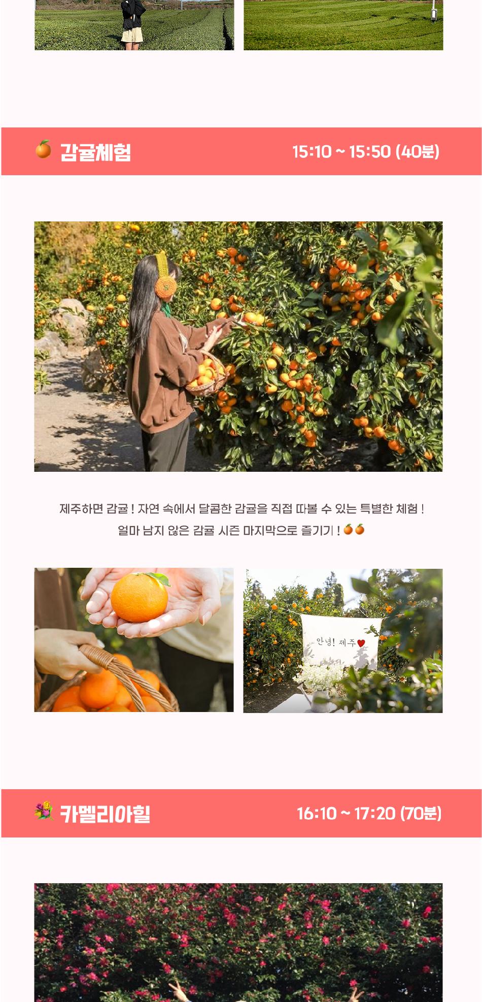 상품 상세 이미지 7