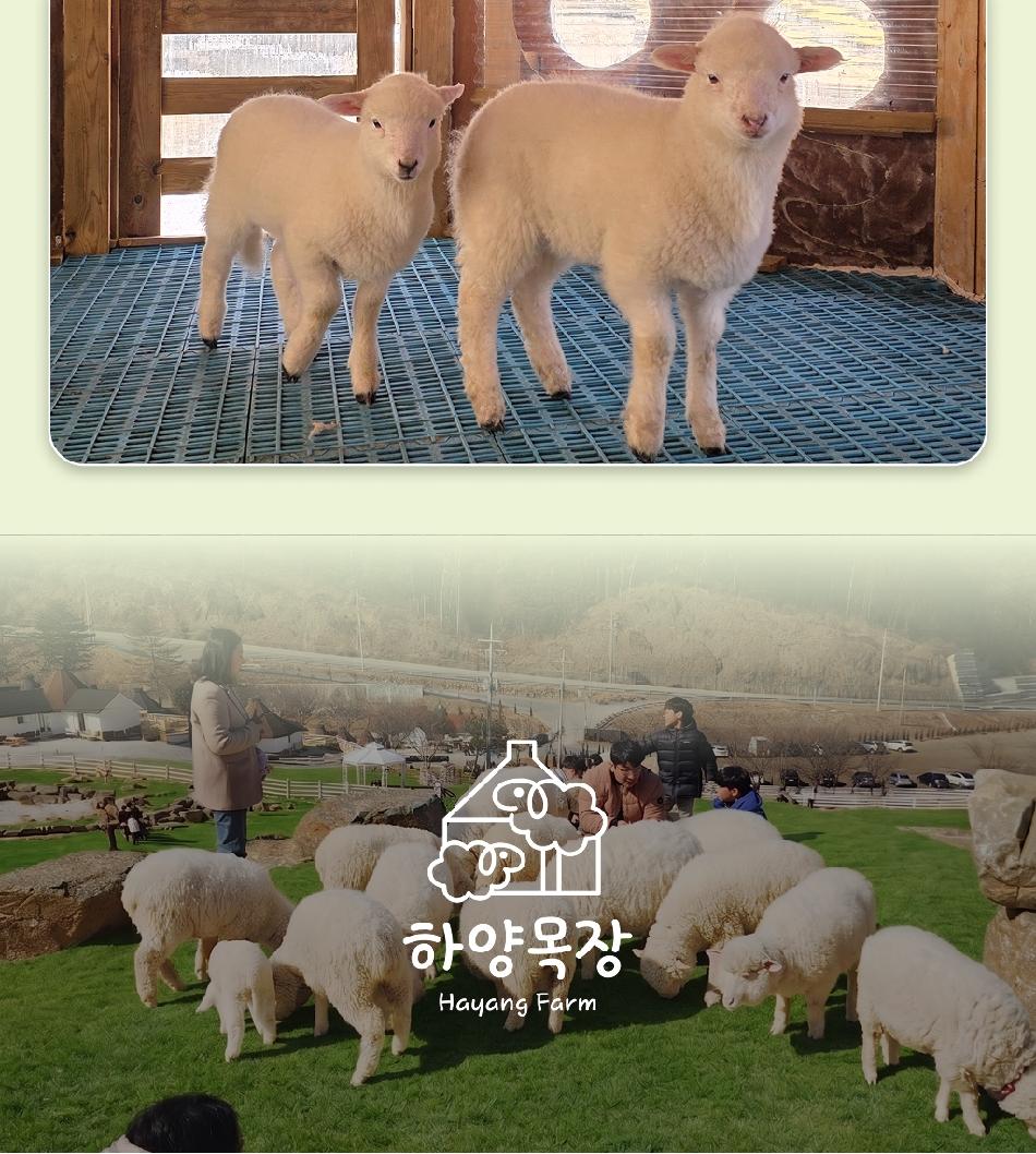 상품 상세 이미지 8