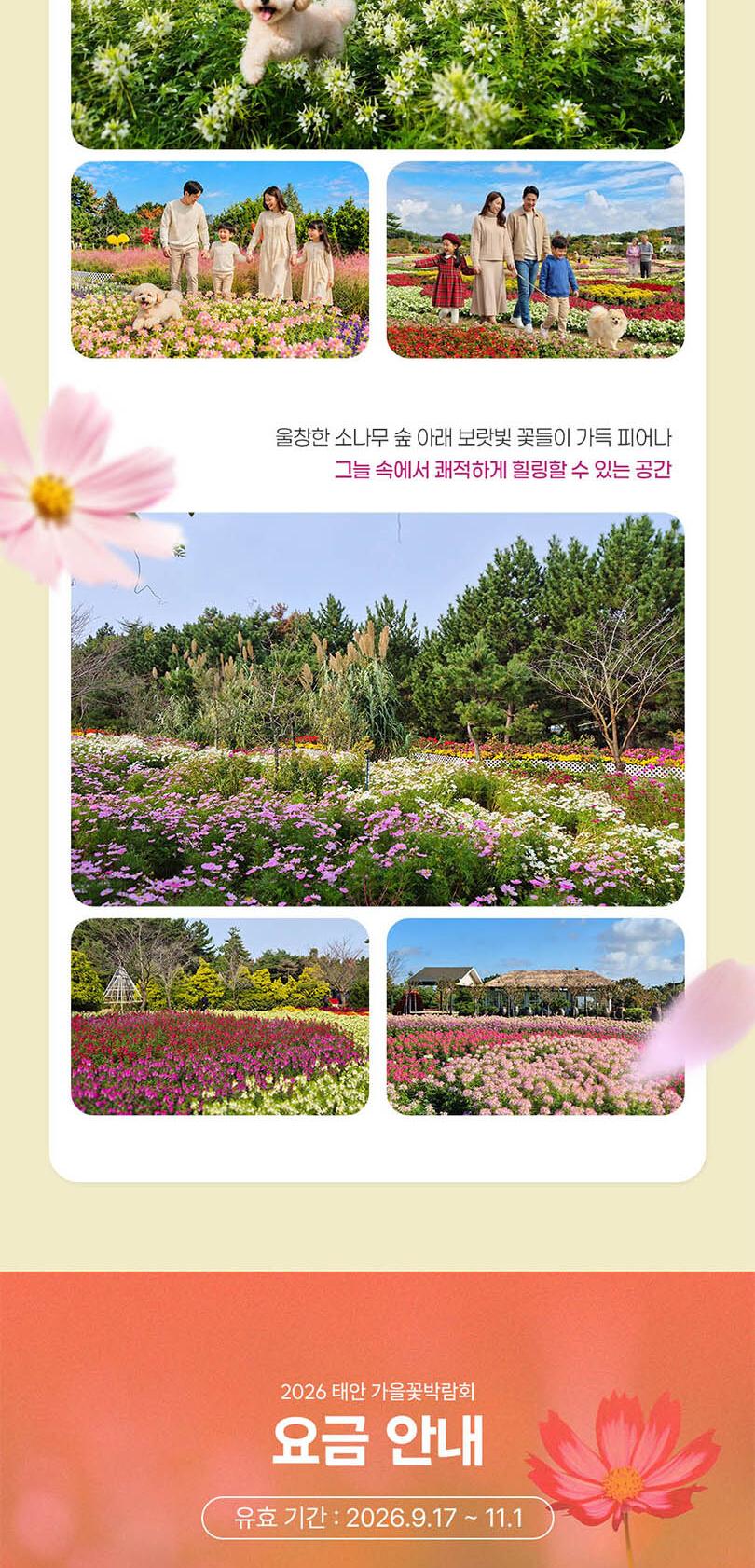 상품 상세 이미지 7