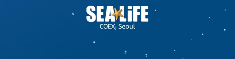 상품 상세 이미지 13