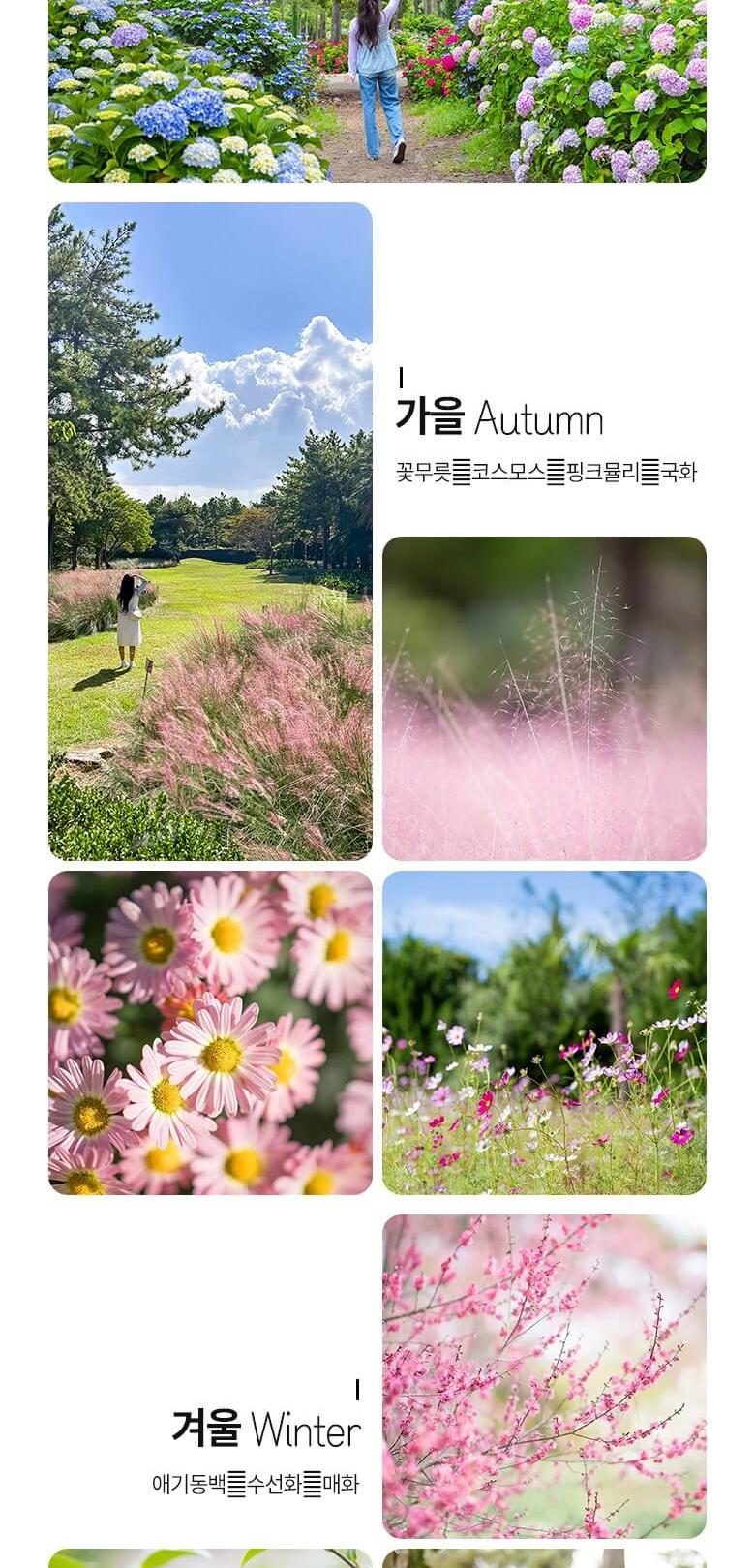 상품 상세 이미지 6