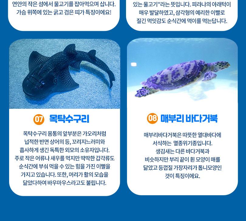 상품 상세 이미지 10