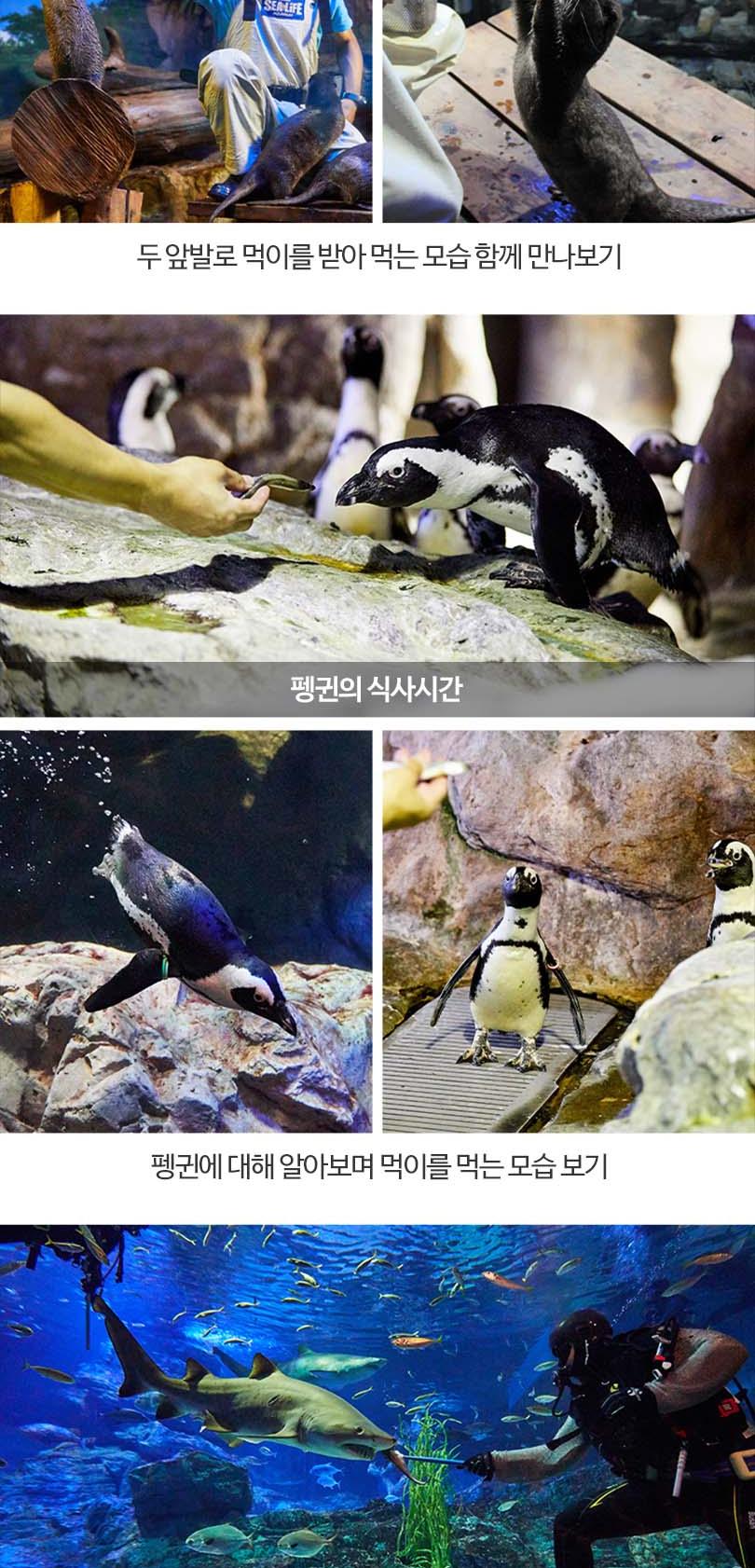 상품 상세 이미지 13