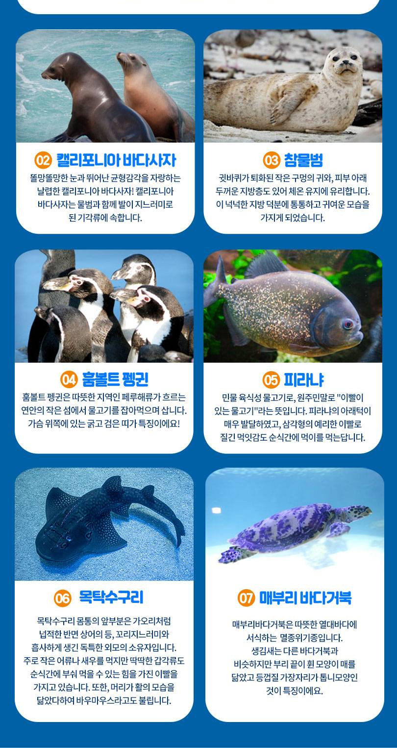 상품 상세 이미지 5