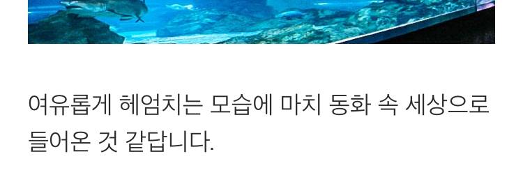 상품 상세 이미지 10