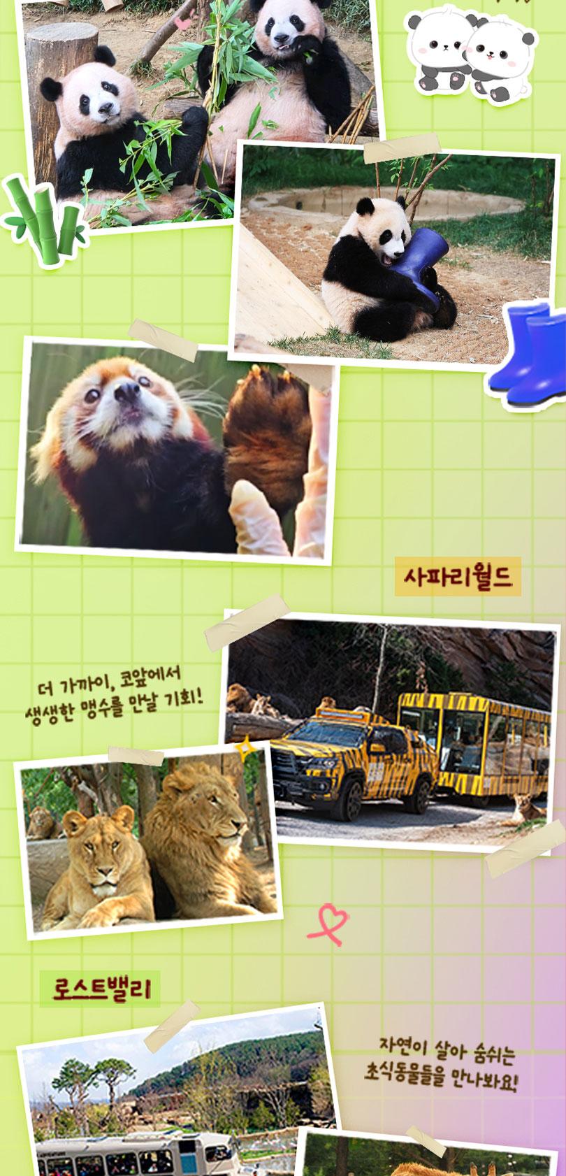 상품 상세 이미지 15