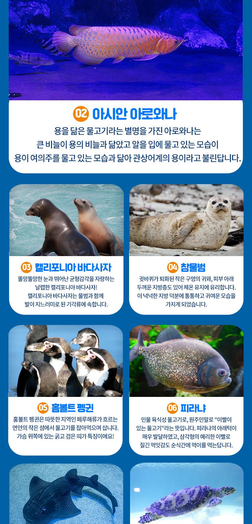 상품 상세 이미지 9