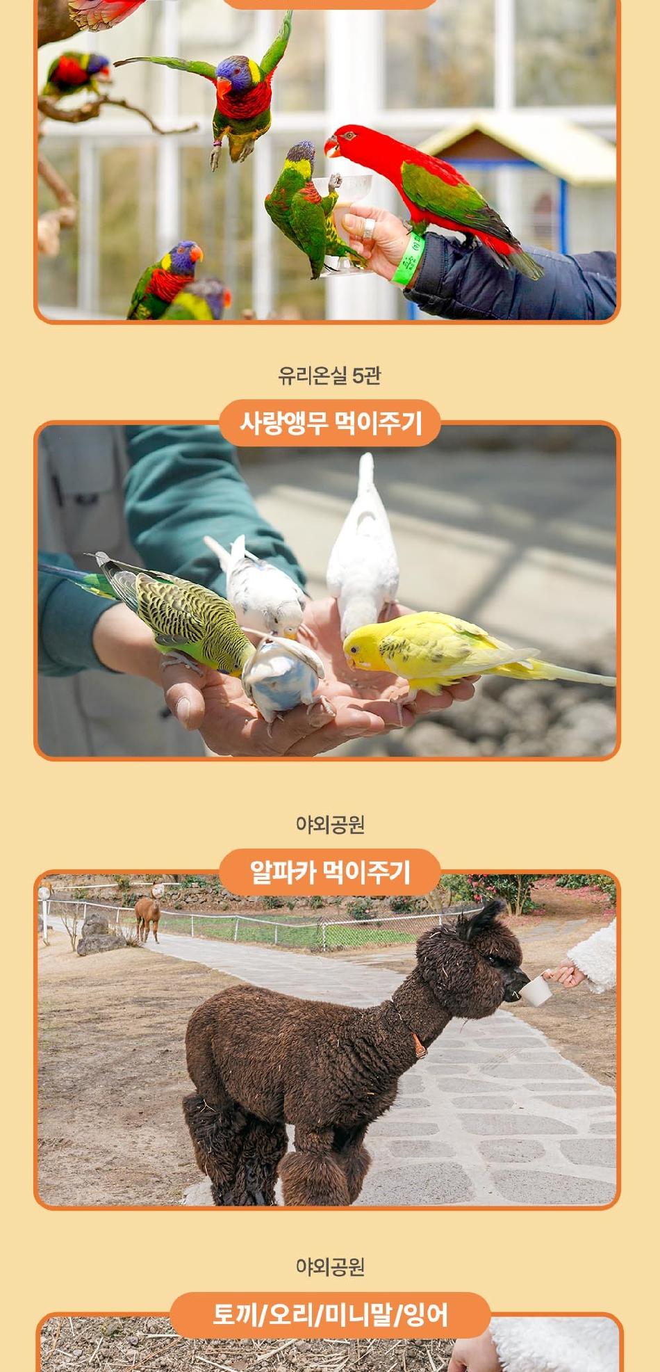 상품 상세 이미지 7