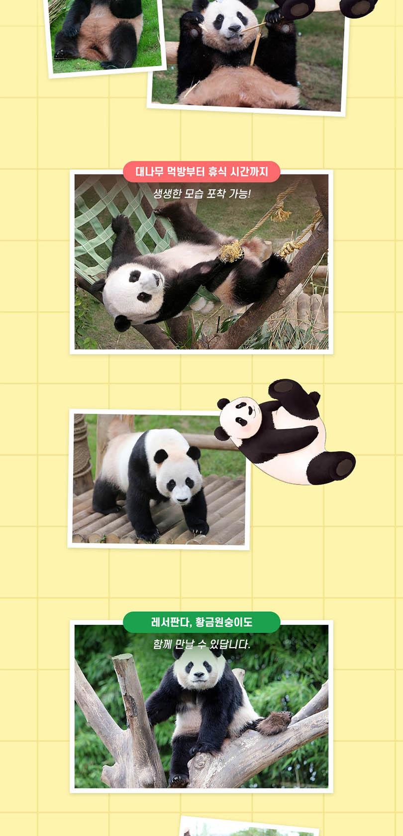 상품 상세 이미지 5