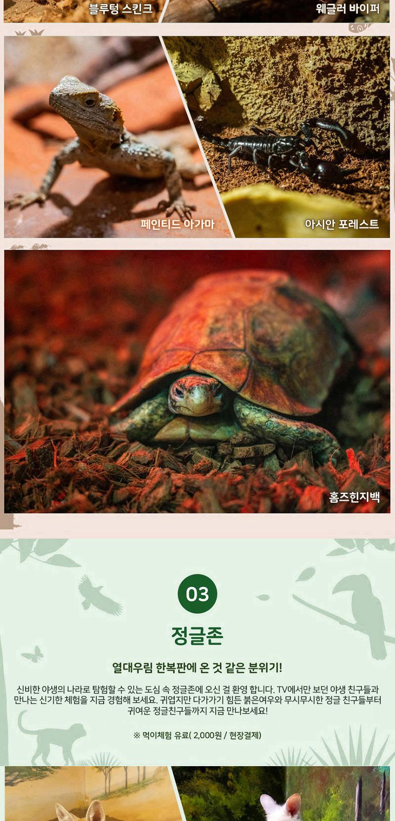 상품 상세 이미지 7