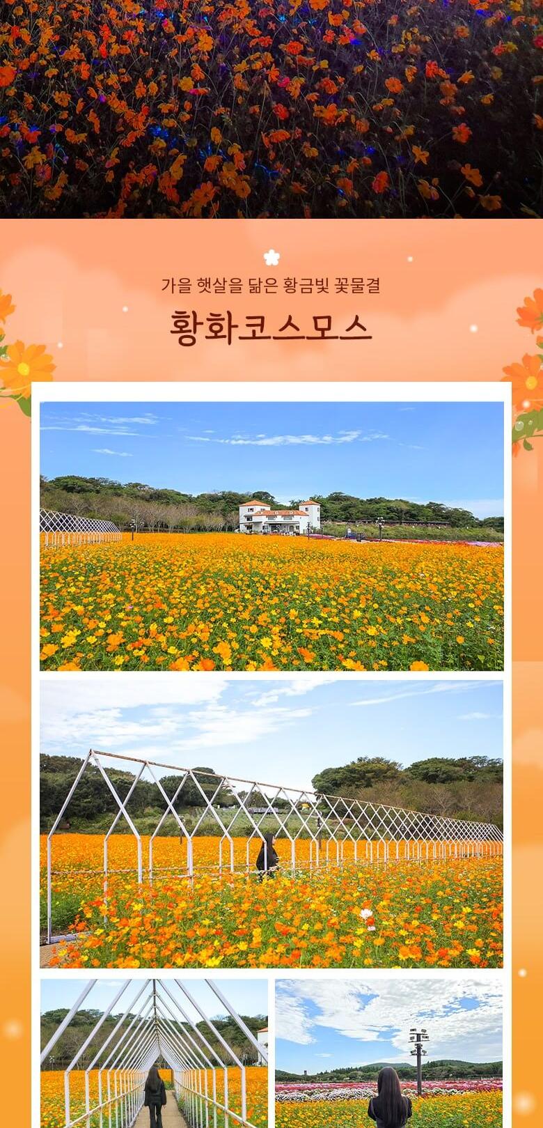 상품 상세 이미지 6