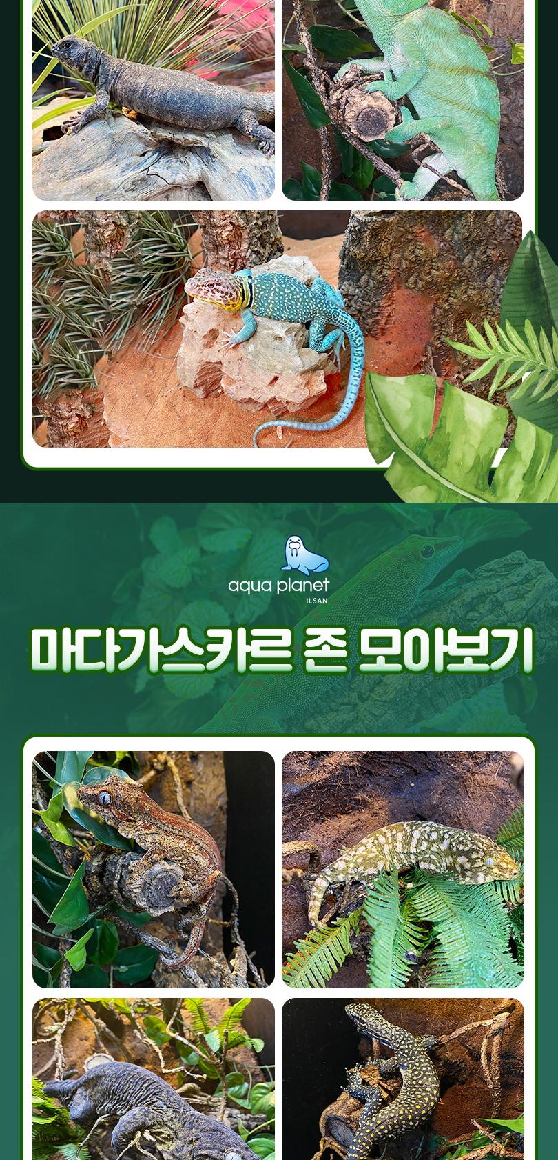 상품 상세 이미지 17