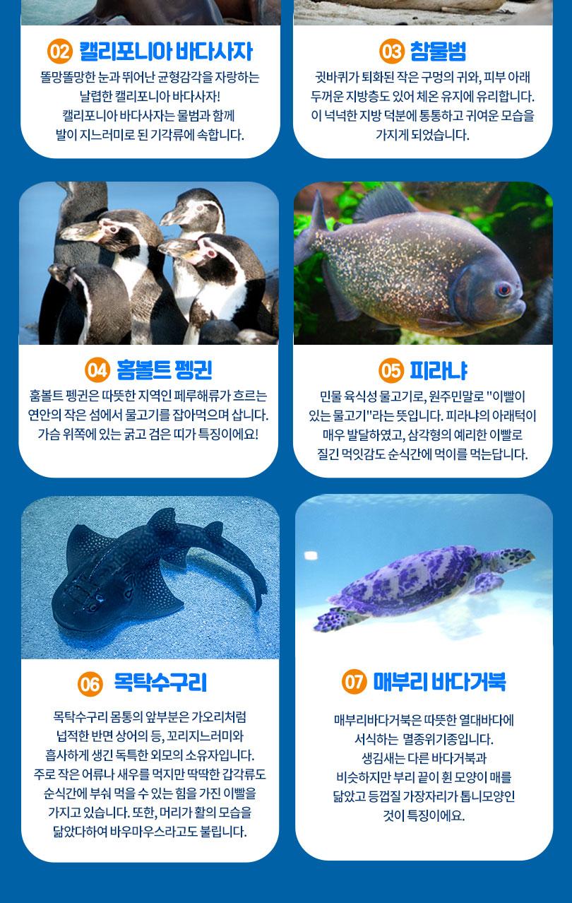 상품 상세 이미지 5