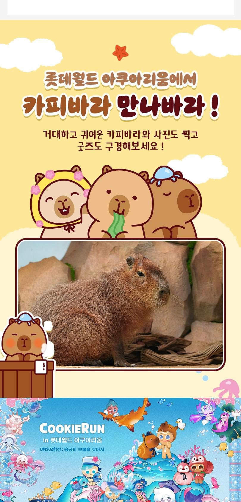 상품 상세 이미지 6