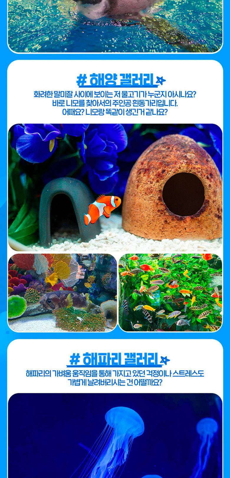 상품 상세 이미지 13