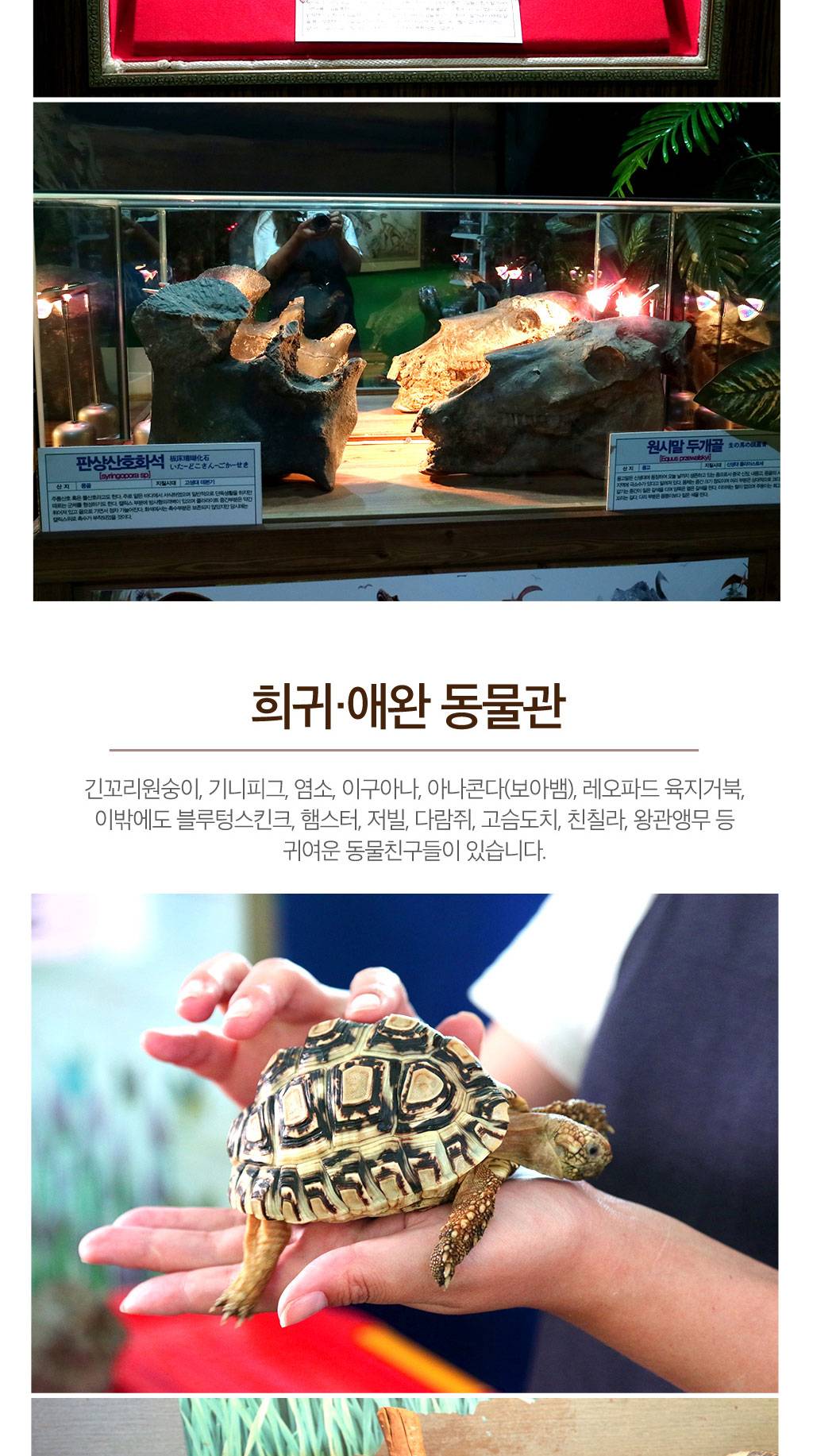 상품 상세 이미지 4