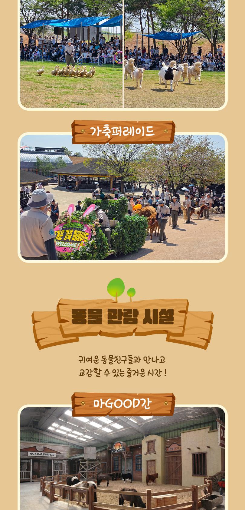 상품 상세 이미지 11