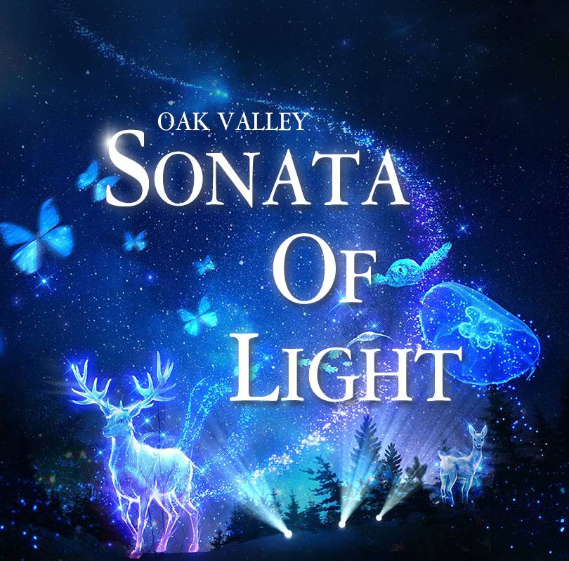 상품 상세 이미지 9