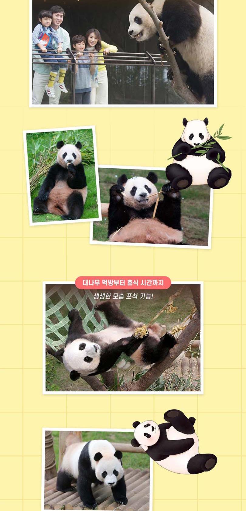 상품 상세 이미지 5