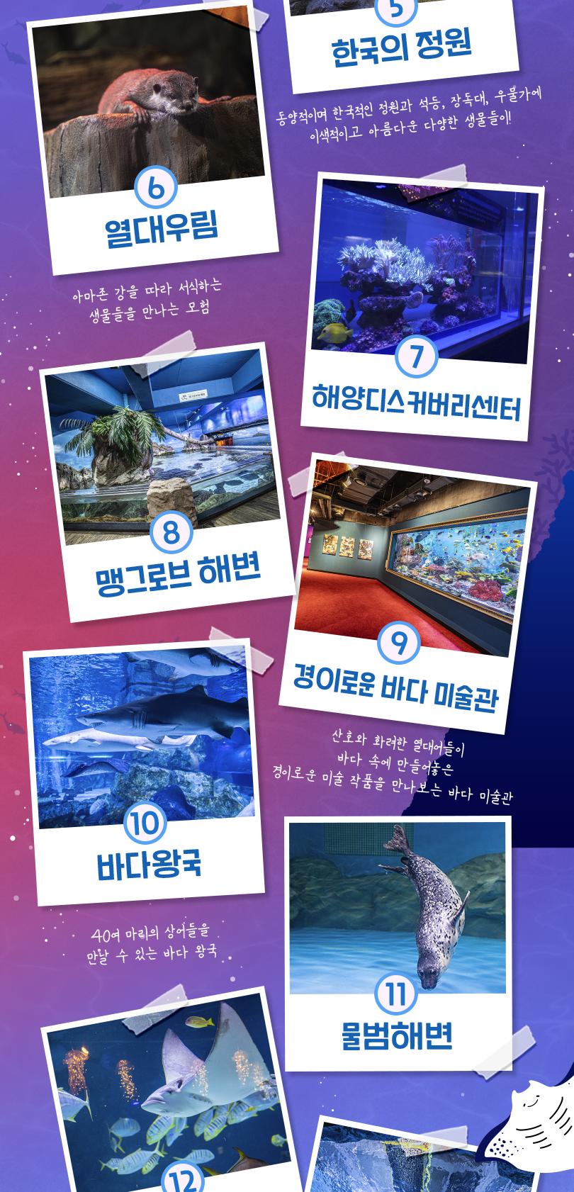 상품 상세 이미지 8