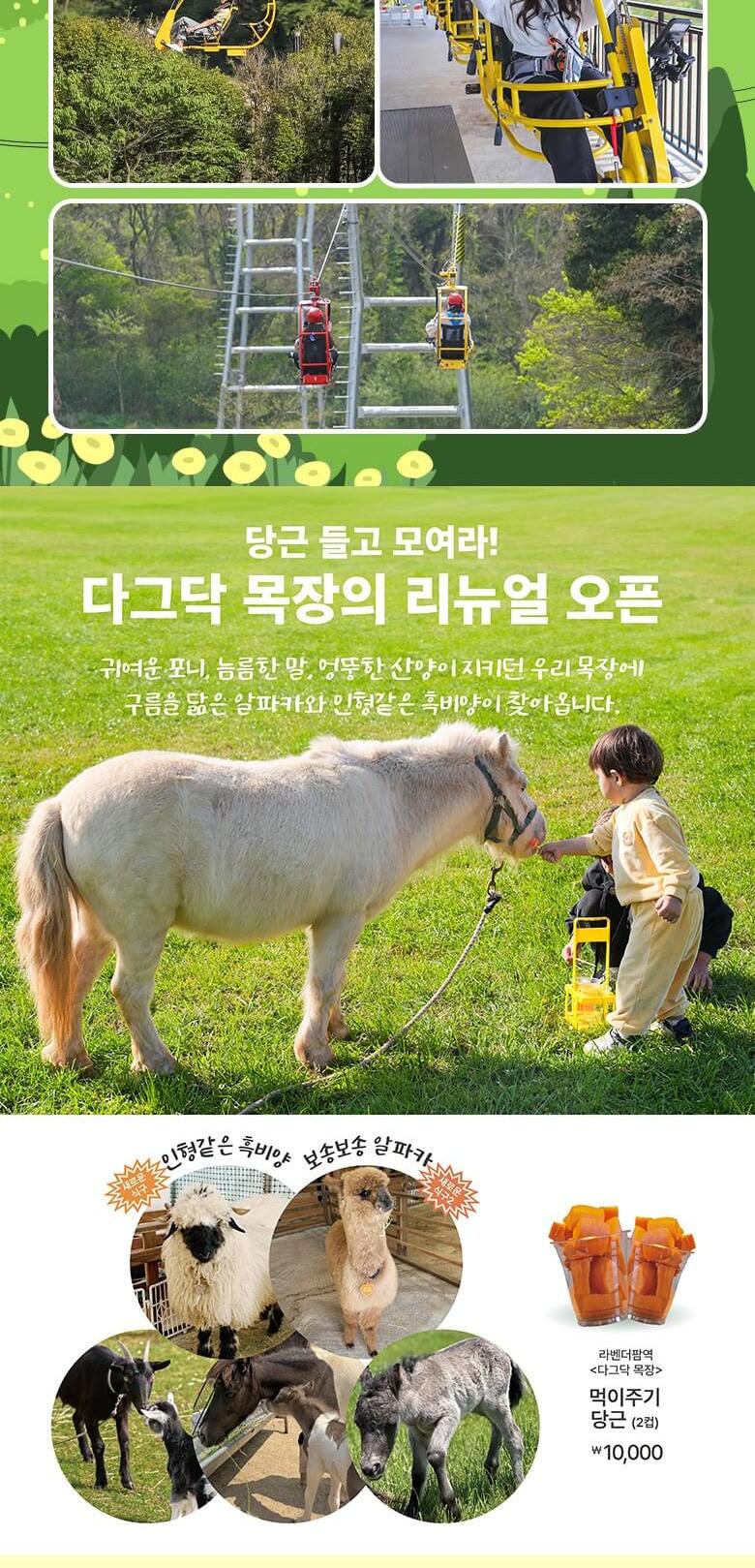 상품 상세 이미지 5