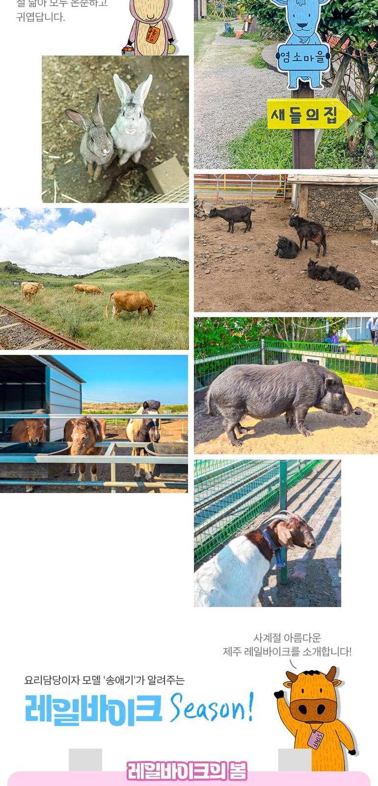 상품 상세 이미지 6