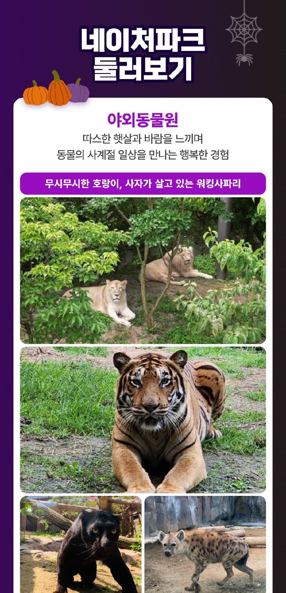 상품 상세 이미지 11