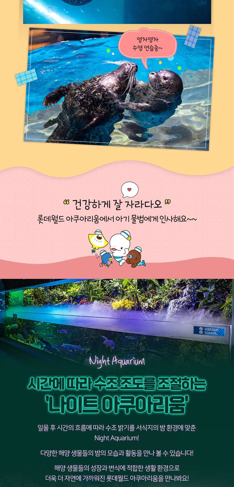 상품 상세 이미지 5