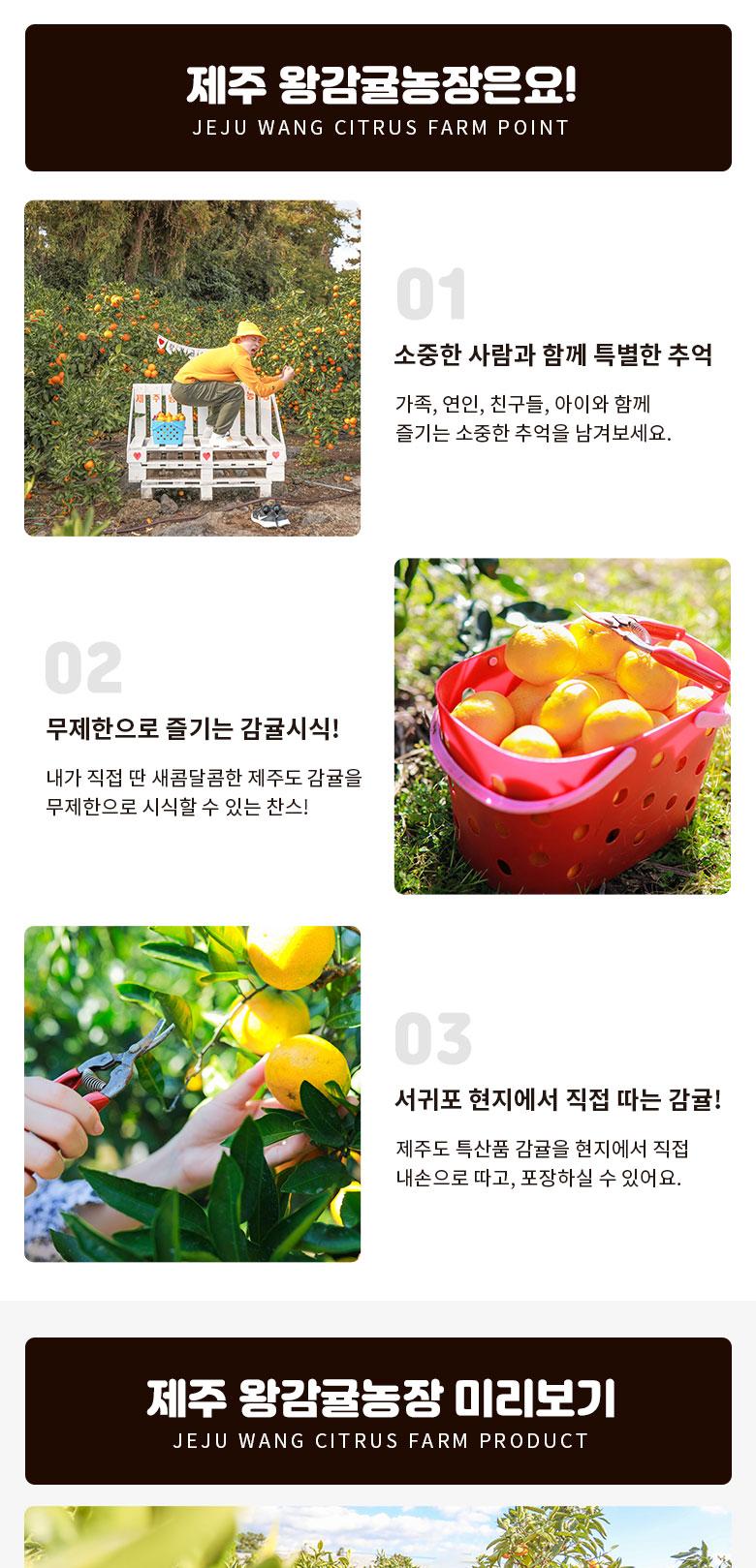 상품 상세 이미지 2