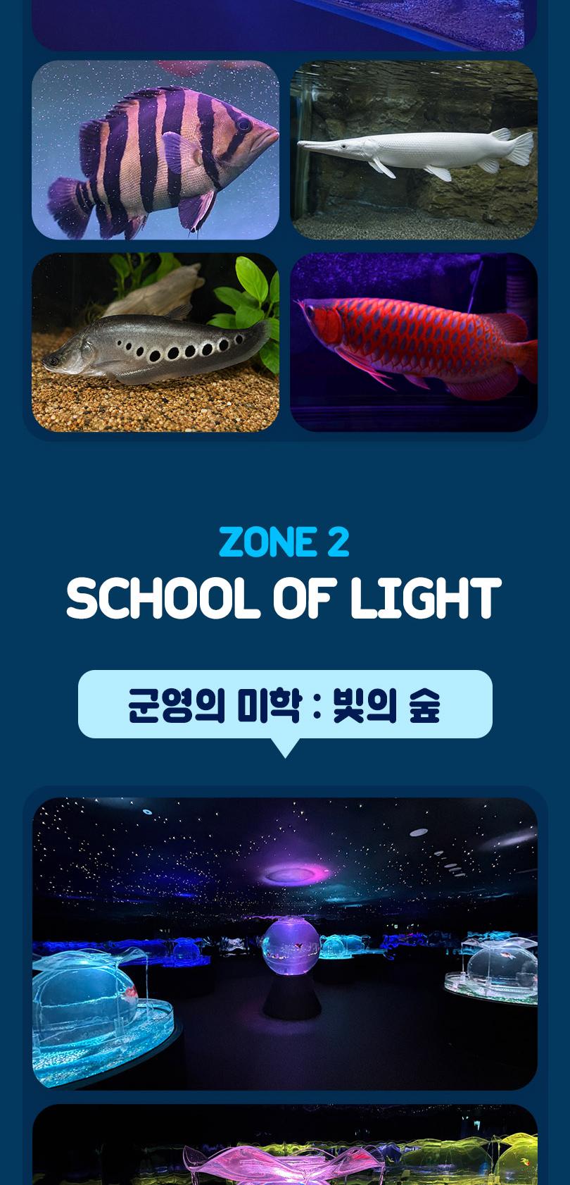 시흥 거북섬 더베이54 아쿠아리움 체험형 관상어 테마파크