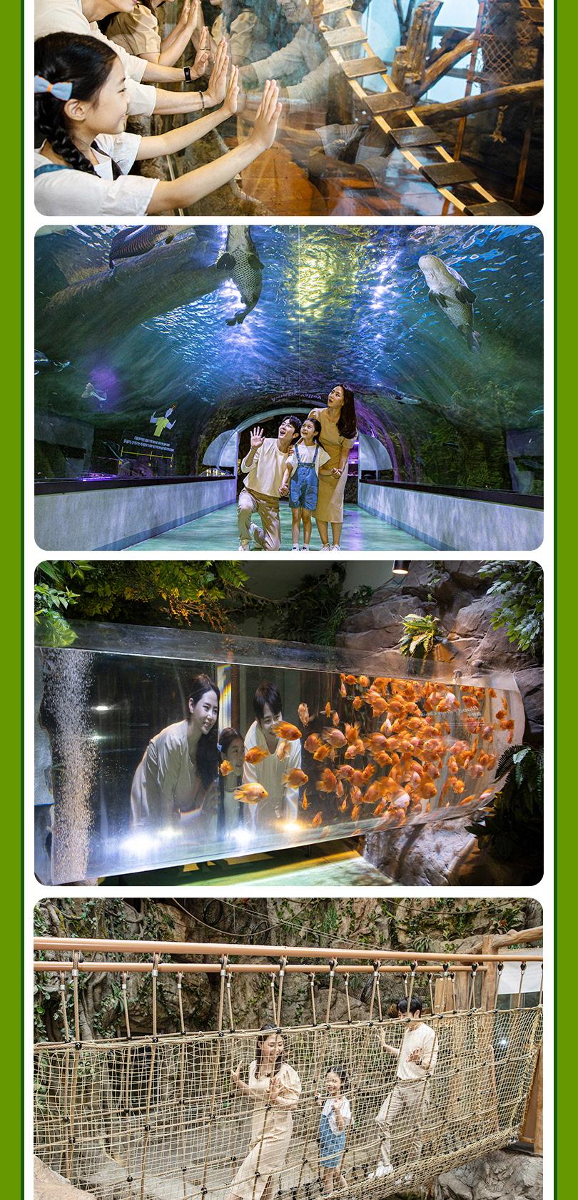 상품 상세 이미지 11