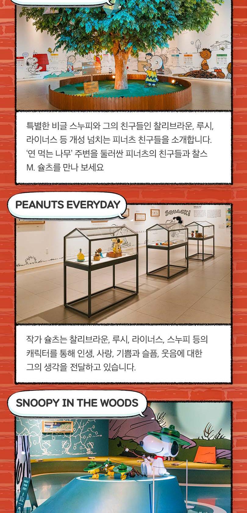 상품 상세 이미지 6