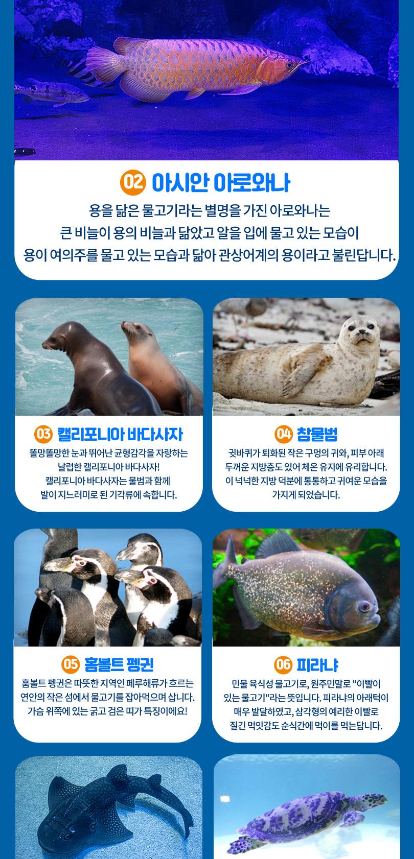 상품 상세 이미지 10