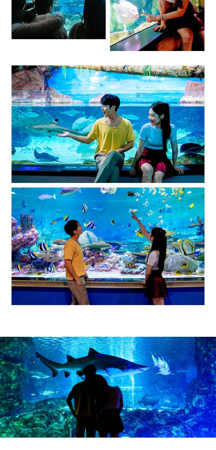 상품 상세 이미지 6