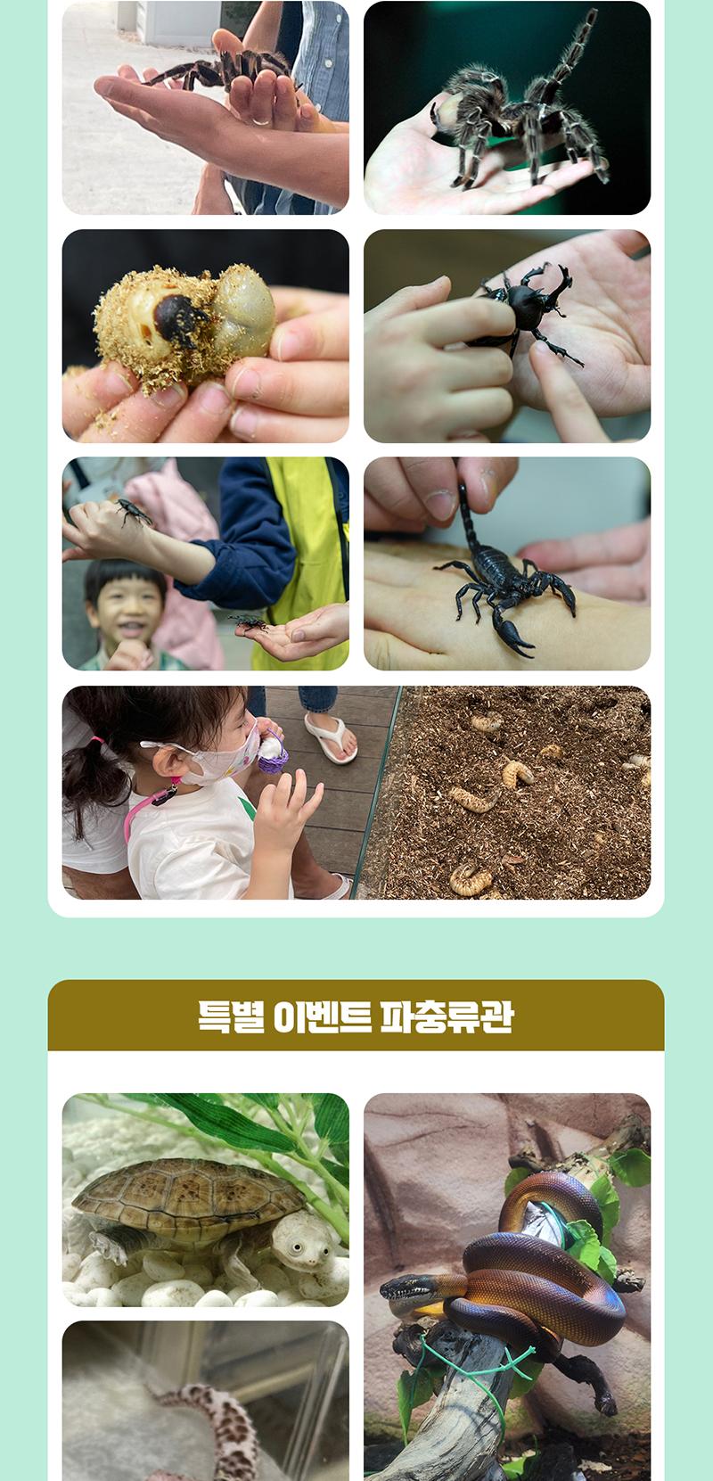 상품 상세 이미지 4