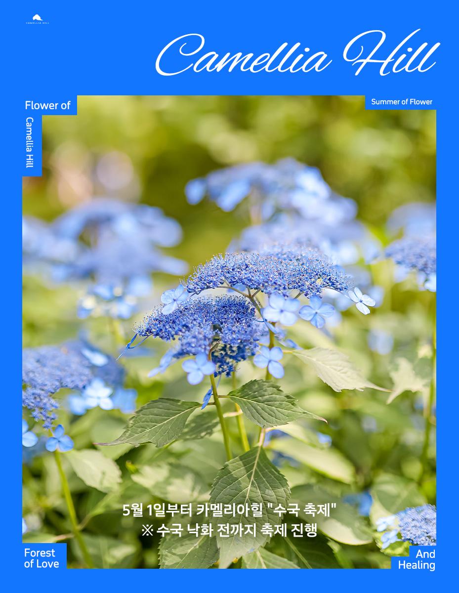 상품 상세 이미지 2