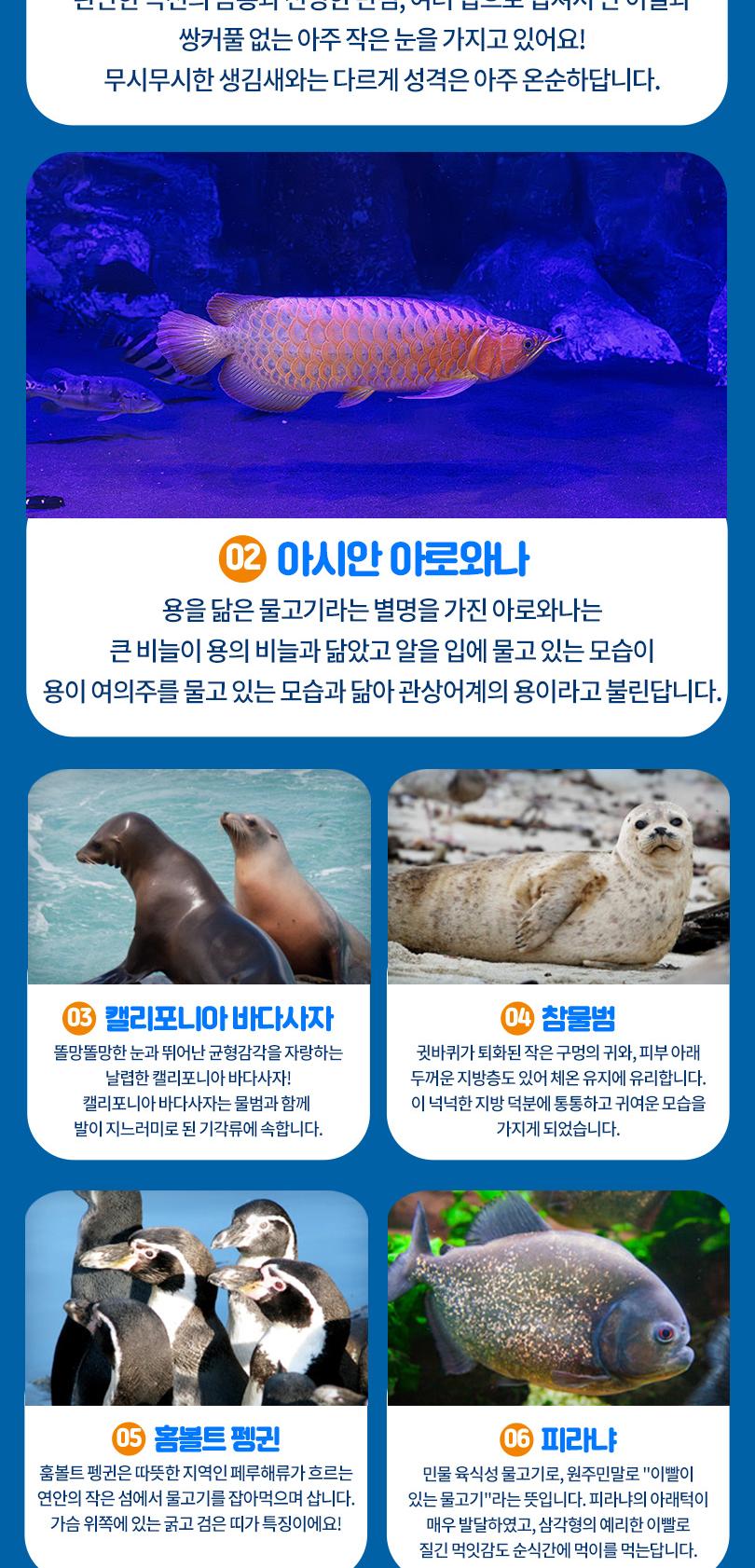 상품 상세 이미지 8