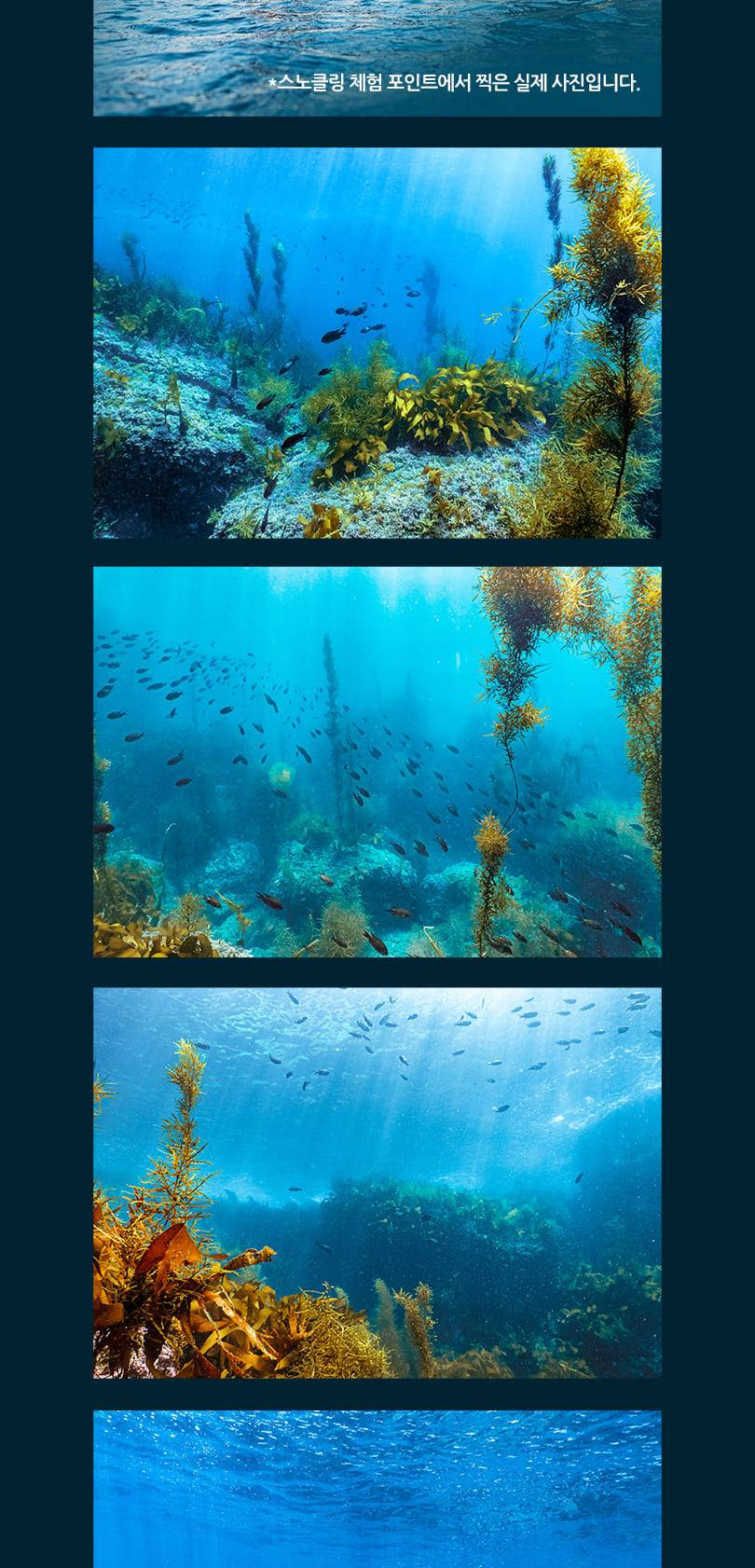 상품 상세 이미지 3