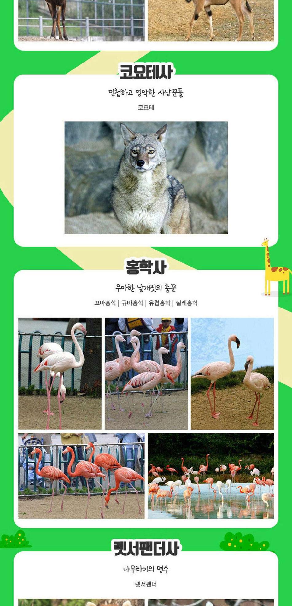 상품 상세 이미지 5