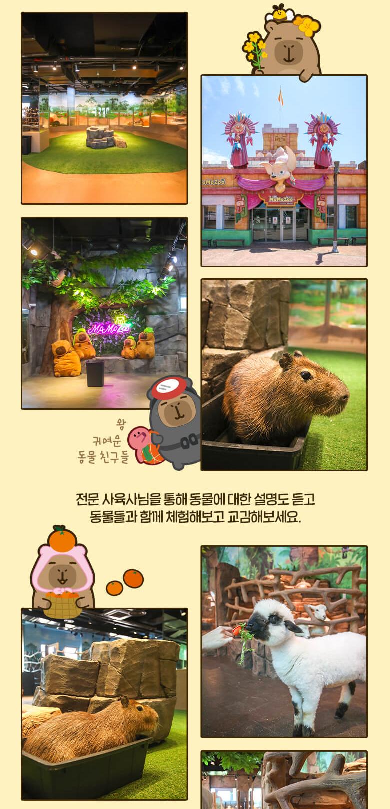 상품 상세 이미지 4