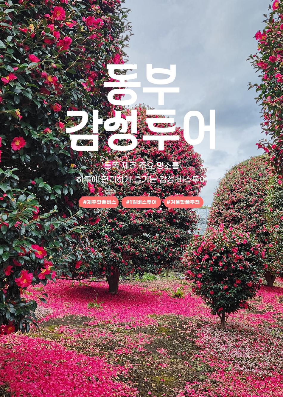 상품 상세 이미지 1